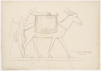 KT 1718
          <br/>
          schets van een ezel op een basrelief te Thebe 18e dynastie
          <br/>
          <em>Famars Testas, Willem de (1834-1896)</em>